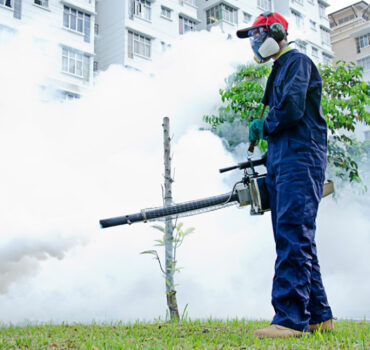 Fumigation